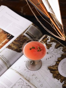 Watermelon and Thyme Martini