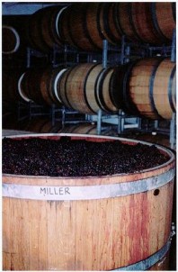 Small batch fermenting in McLaren Vale - but what's being produced?