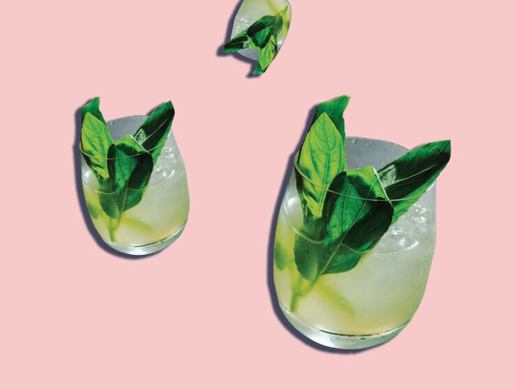 The Gin Basil Smash.