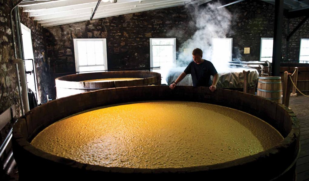 Lagers in a cold climate the yeast behind the brew