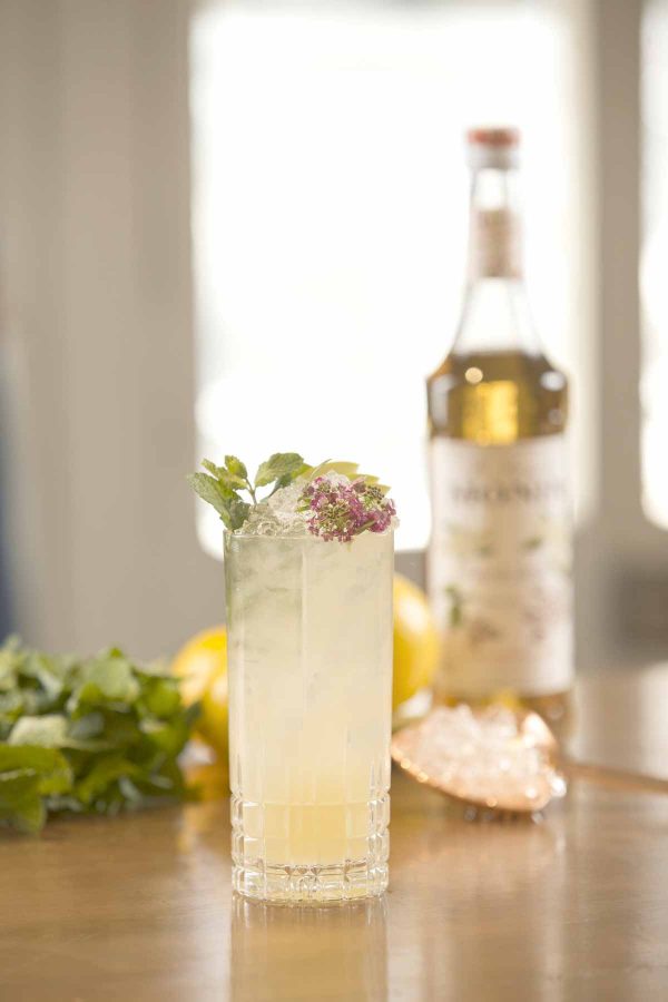 Spiced Elderflower Spritz Spiced Elderflower Spritz